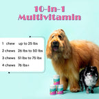 Floof by Brodie 10-en-1 Multivitamínico para Perros - 60 Masticables (180 g)