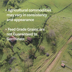 New Country Organics | Guisantes Orgánicos Sin Moler | Certificado Orgánico y No GMO | Grado Alimenticio | 40 lbs
