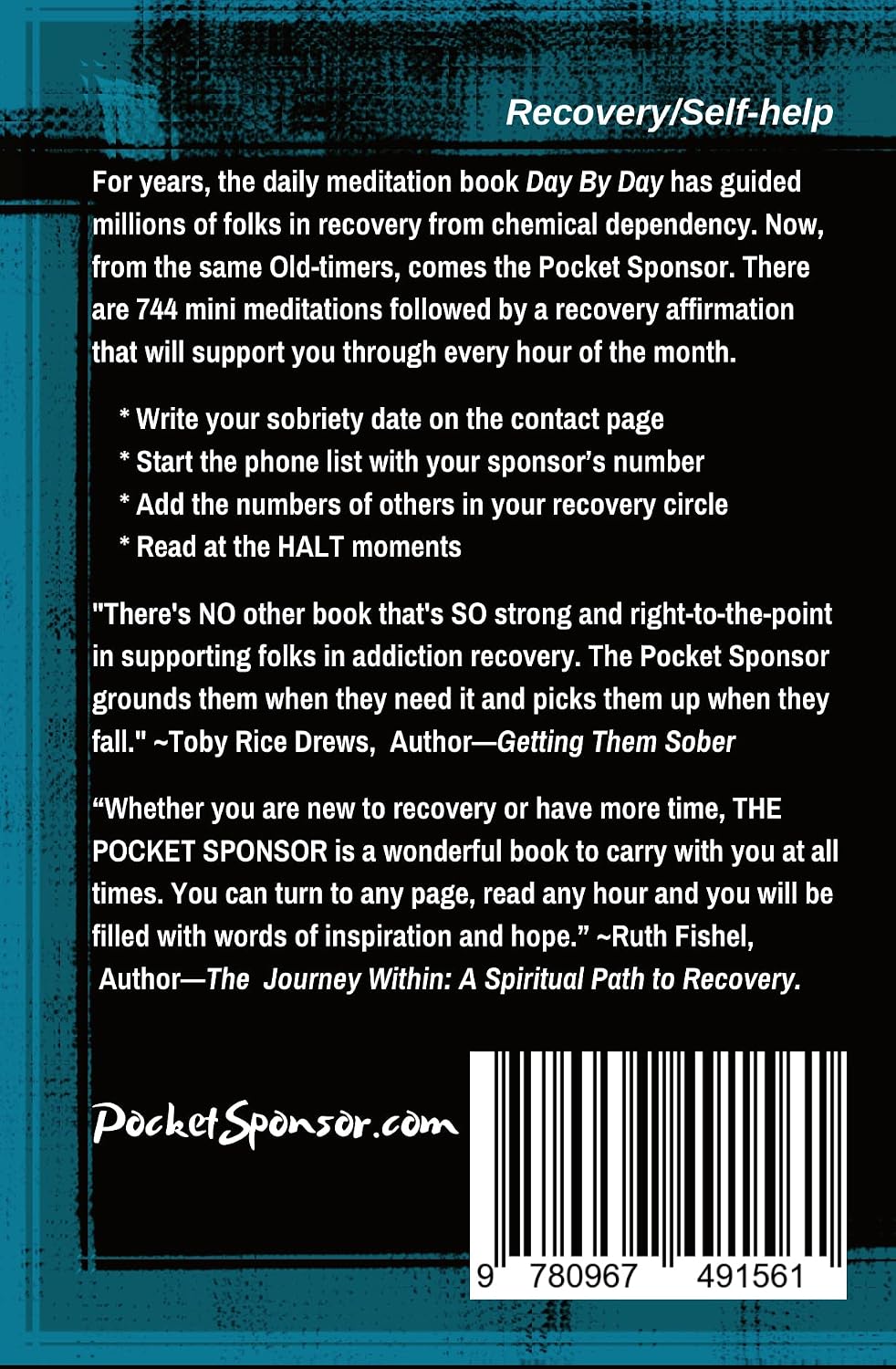 Pocket Sponsor: 24/7 12-Step Support in Mini Meditations for Alcoholism Recovery