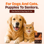 LICKICIOUS Probióticos para Perros y Gatos – Polvo Sinbiótico, 20 Sobres, 9.2B UFC, 12 Cepas con Prebióticos y Enzimas