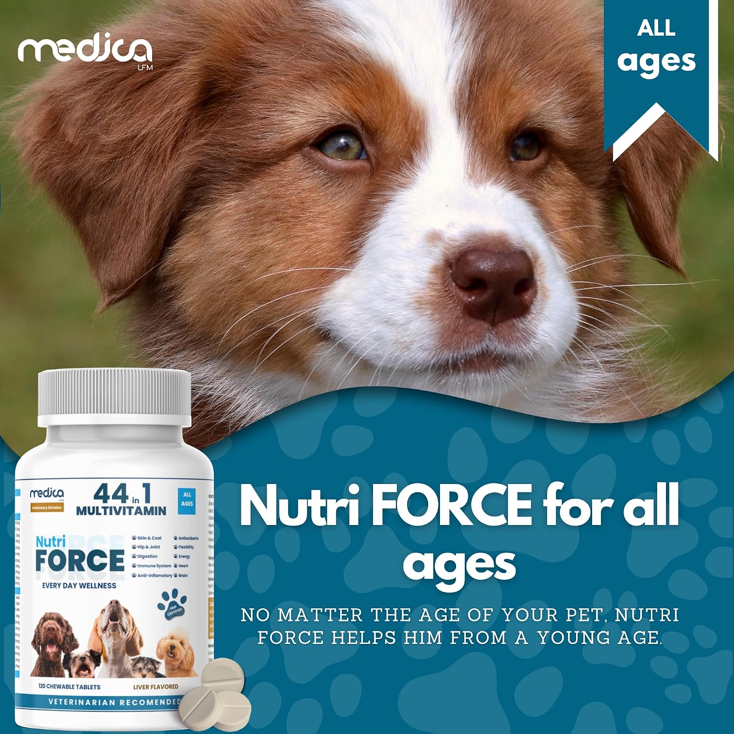 NutriForce 44-in-1 Multivitamínico para Perros - 120 Comprimidos Masticables