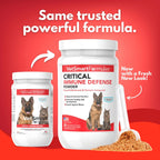 Critical Immune Defense para Perros y Gatos – Fórmula de Hongos y Cúrcuma Blanca – 30 Días