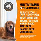 Multivitamínico para Perros 10 en 1 con Omega Fish Oil y Glucosamina – 120 Masticables