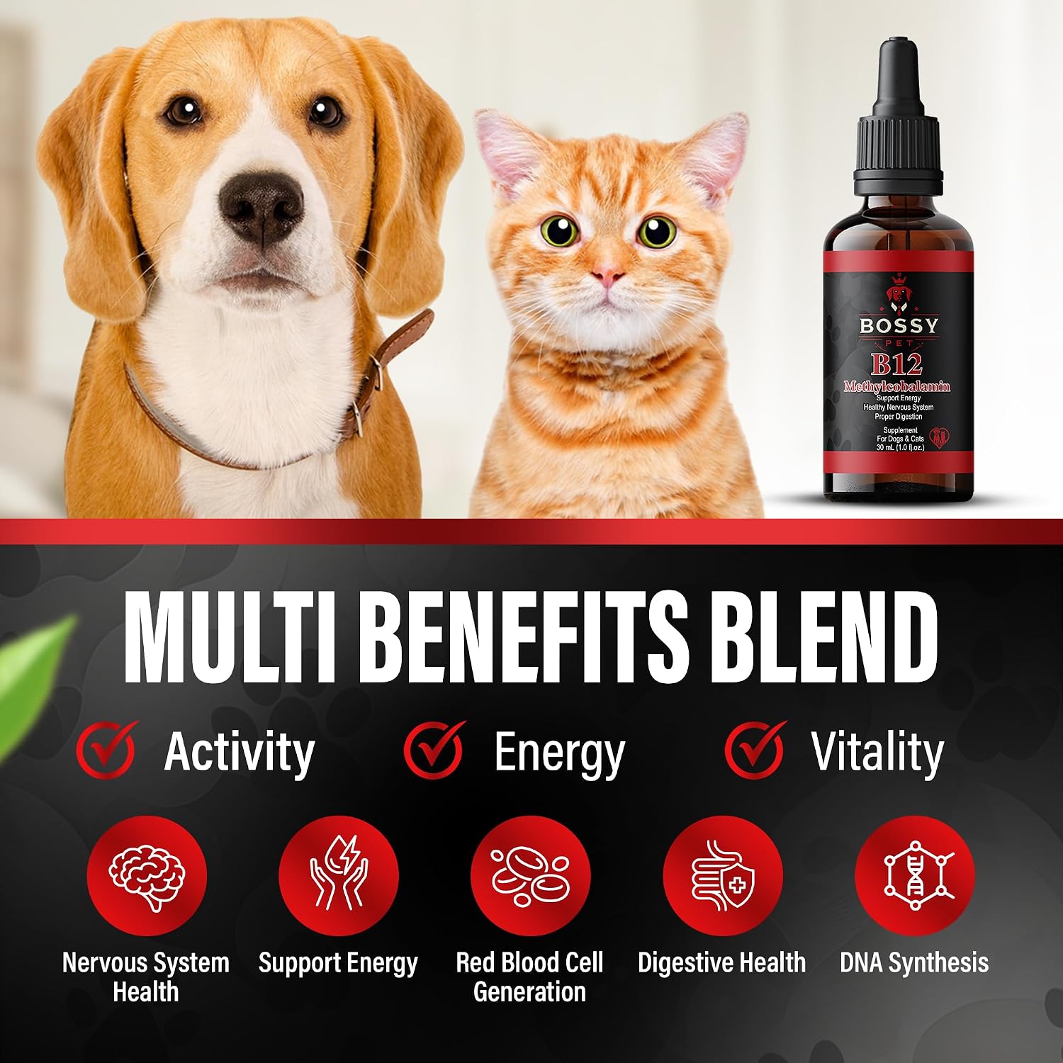 Vitamina B12 para Perros y Gatos - Suplemento Líquido de Metilcobalamina - Apoya Energía, Función Nerviosa y Apetito - Absorción Rápida - Fácil de Administrar