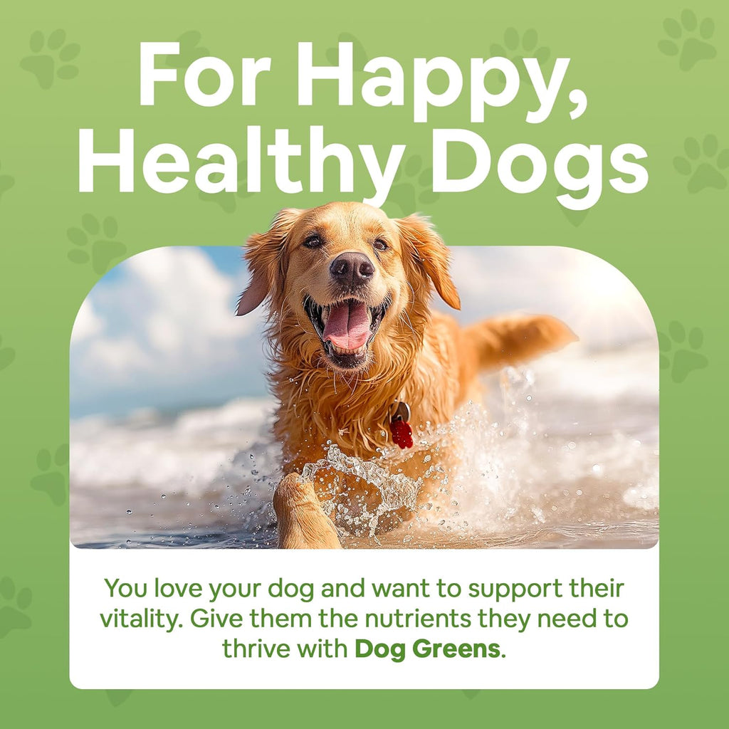 Dog Greens Superfood Multivitamin Powder