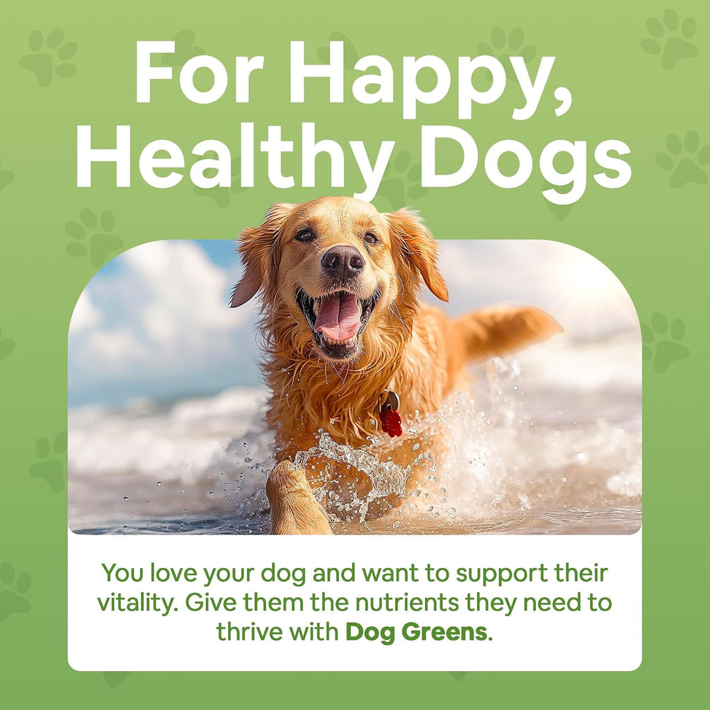 Dog Greens Superfood Supplement para Perros (340 g) - Pack de 3