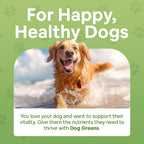 Dog Greens Superfood Supplement para Perros (340 g) - Pack de 3