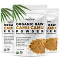 Earth Circle Organics Camu Camu en Polvo – Superalimento Orgánico con Vitamina C Natural y Antioxidantes – Vegano, Kosher, No OGM – 85 g (Pack de 3)