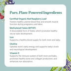 PURE SYNERGY PureNatal Vitaminas Prenatales - 120 Comprimidos Veganos
