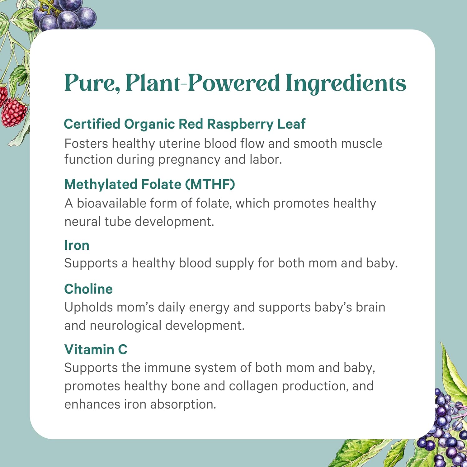 PURE SYNERGY PureNatal Vitaminas Prenatales - 120 Comprimidos Veganos