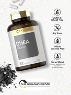 Carlyle DHEA 100mg - 300 Cápsulas para Mujeres y Hombres - No Transgénico y Sin Gluten