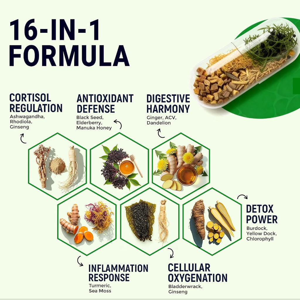 Sea Moss Black Seed Oil Ashwagandha Ginger - Cápsulas Avanzadas de Irish Sea Moss, Suplemento Todo en Uno con Seamoss, Black Seed Oil, Ashwagandha, Burdock Root, Bladderwrack