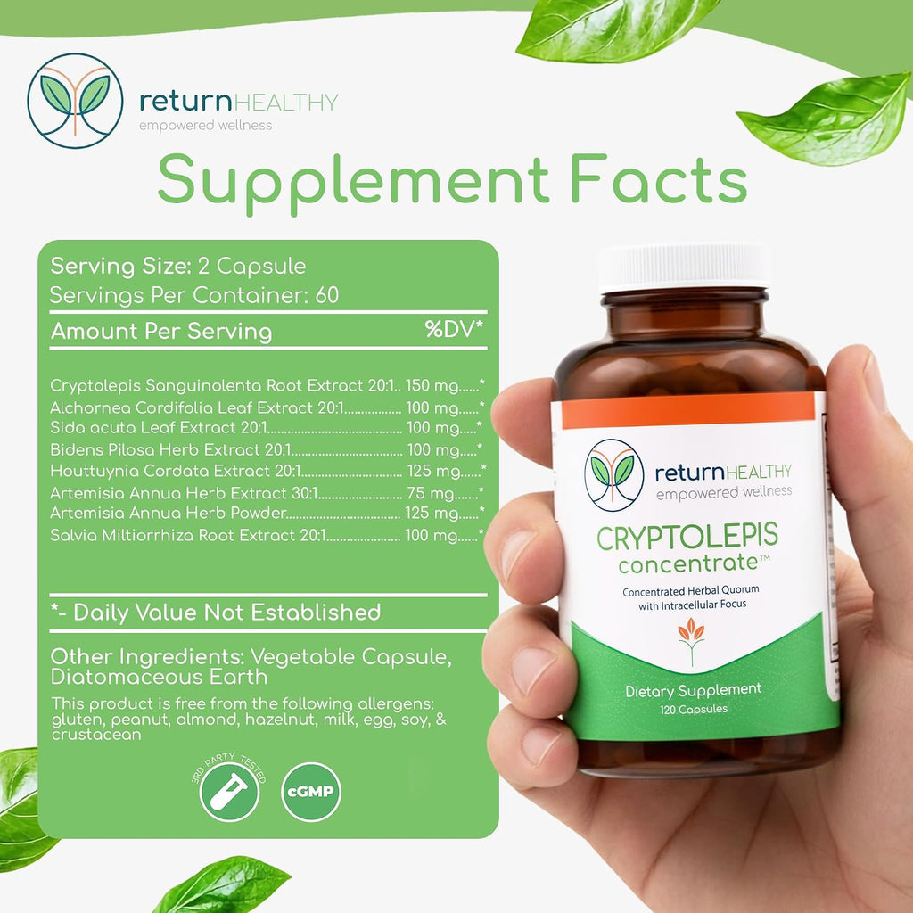 Return Healthy Cryptolepis Concentrate - 120 Cápsulas
