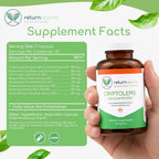 Return Healthy Cryptolepis Concentrate - 120 Cápsulas