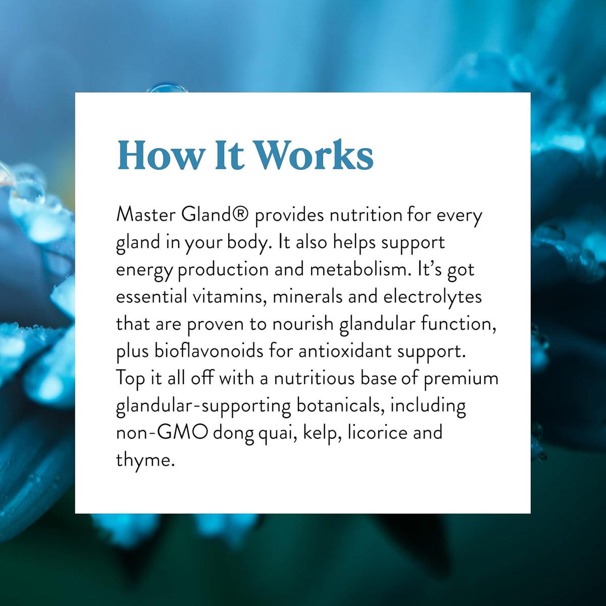 Nature's Sunshine Master Gland, 120 Cápsulas – Vitaminas A, C y E : tres antioxidantes clave que trabajan juntos – Image 6