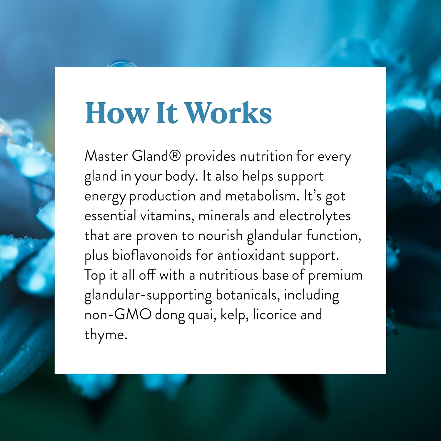 Nature's Sunshine Master Gland, 120 Cápsulas - Suplemento Multivitamínico y Mineral