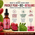 Natural Home Cures Gotas de Cactus Nopal con Vitamina B12, Concentrado de Fruta de Cactus, Suplemento Líquido con Betalaínas y Nutrientes Vegetales, 3 Botellas, 180 Porciones, 60 ml cada una