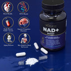 Ageless NAD+ Nicotinamida Ribósido 300mg – 90 Cápsulas