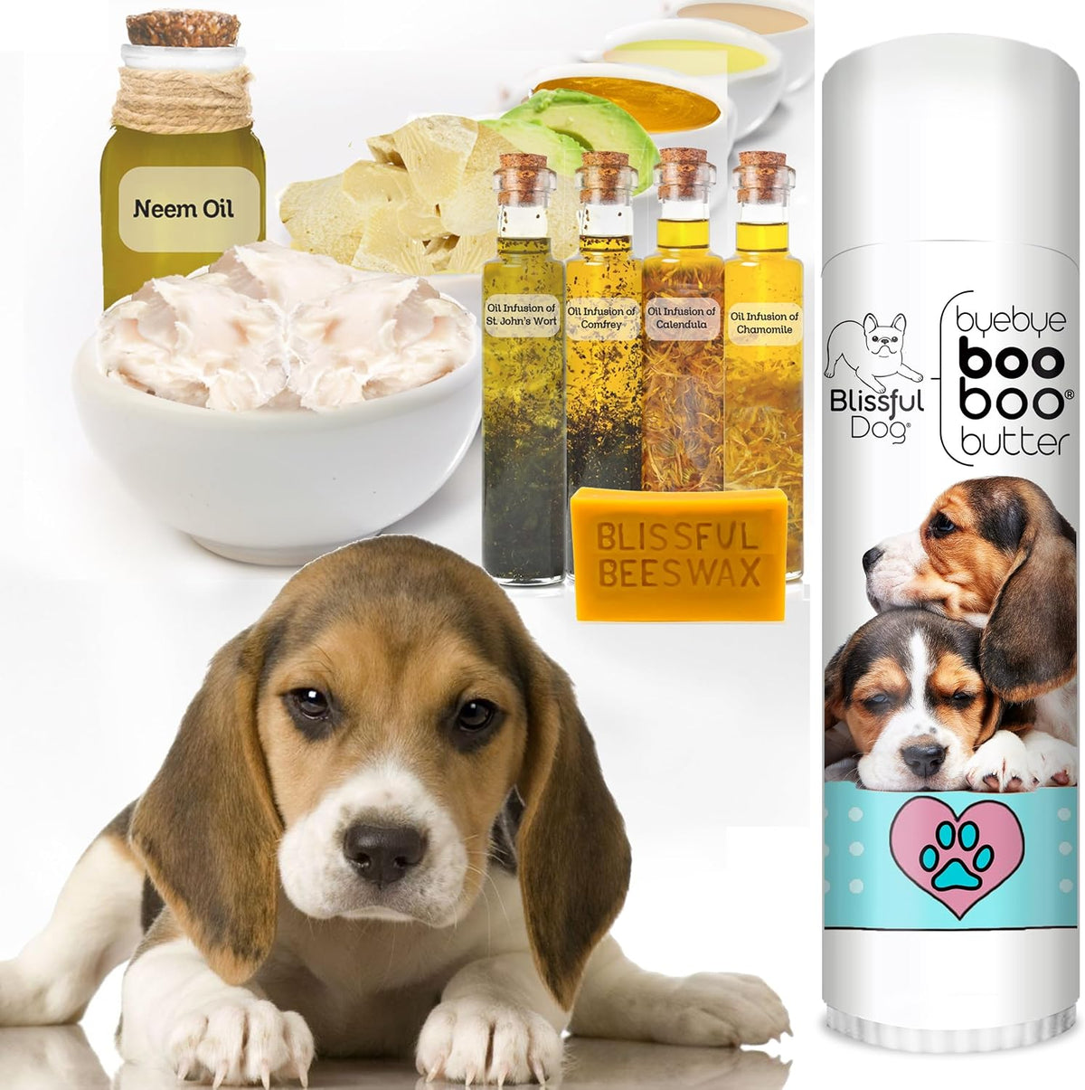 The Blissful Dog .50 oz Tube Beagle Booboo – Aceite de oliva y aceite de coco: Aportan nutrición y ayudan a – Image 2