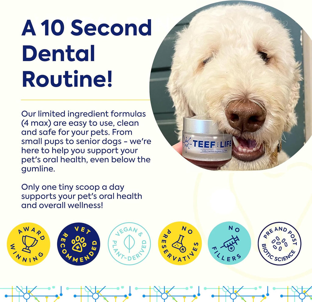 TEEF FOR LIFE Protektin42 Polvo Dental Prebiótico para Perros - 90 Dosis (3 Paquetes)