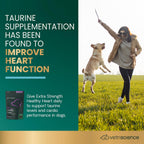 VetriScience Extra Strength Healthy Heart Chews - Suplemento Cardíaco para Perros con Taurina, Carnitina, CoQ10 y Espino, Sabor a Pollo, 60 unidades