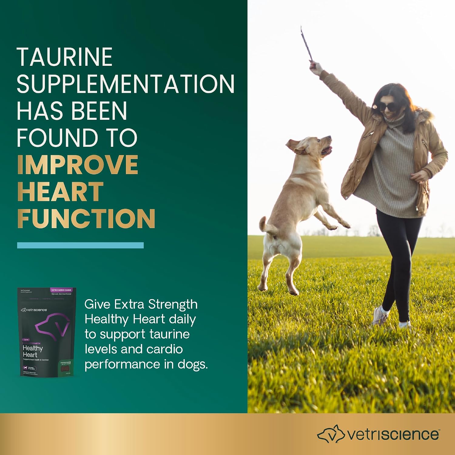 VetriScience Extra Strength Healthy Heart Chews - Suplemento Cardíaco para Perros con Taurina, Carnitina, CoQ10 y Espino, Sabor a Pollo, 60 unidades