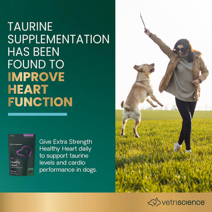 VetriScience Extra Strength Healthy Heart Chews - Suplemento Cardíaco para Perros con Taurina, Carnitina, CoQ10 y Espino, – Image 3