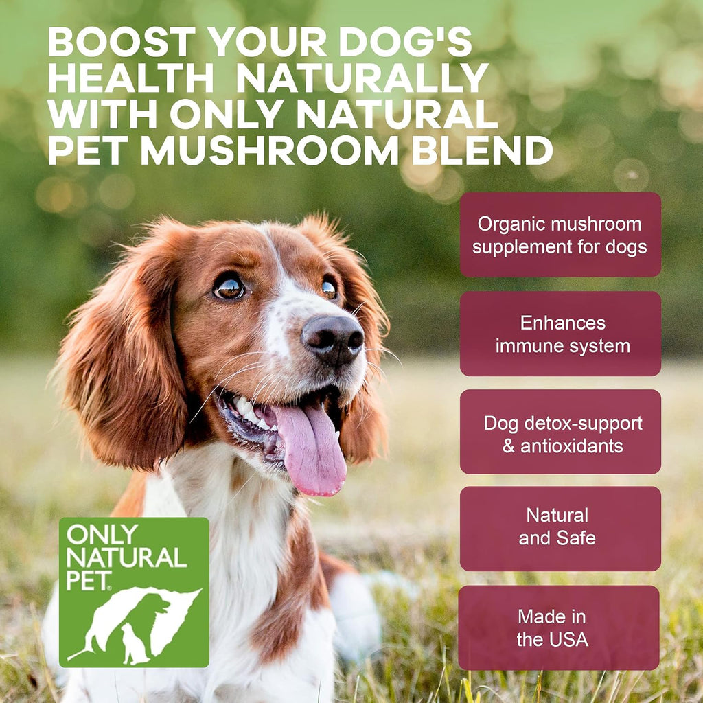 Only Natural Pet Mezcla de Hongos para Perros - Apoyo Inmunológico, Digestivo y Celular - 60 Gomitas Suaves Sabor Bacon