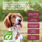 Only Natural Pet Mezcla de Hongos para Perros - Apoyo Inmunológico, Digestivo y Celular - 60 Gomitas Suaves Sabor Bacon