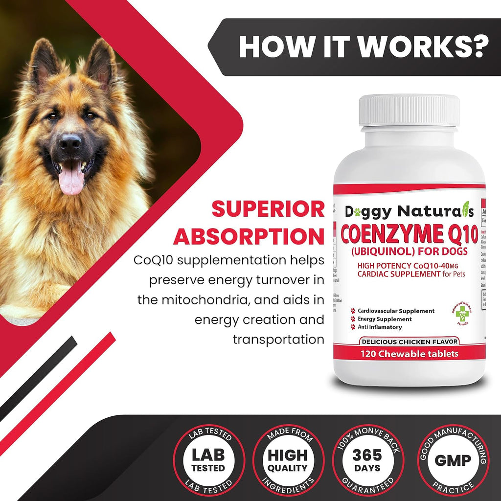 Coenzima Q10 para Perros – Ubiquinol 40mg (120 Comprimidos) – Pet Health Pharma