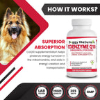 Coenzima Q10 para Perros – Ubiquinol 40mg (120 Comprimidos) – Pet Health Pharma
