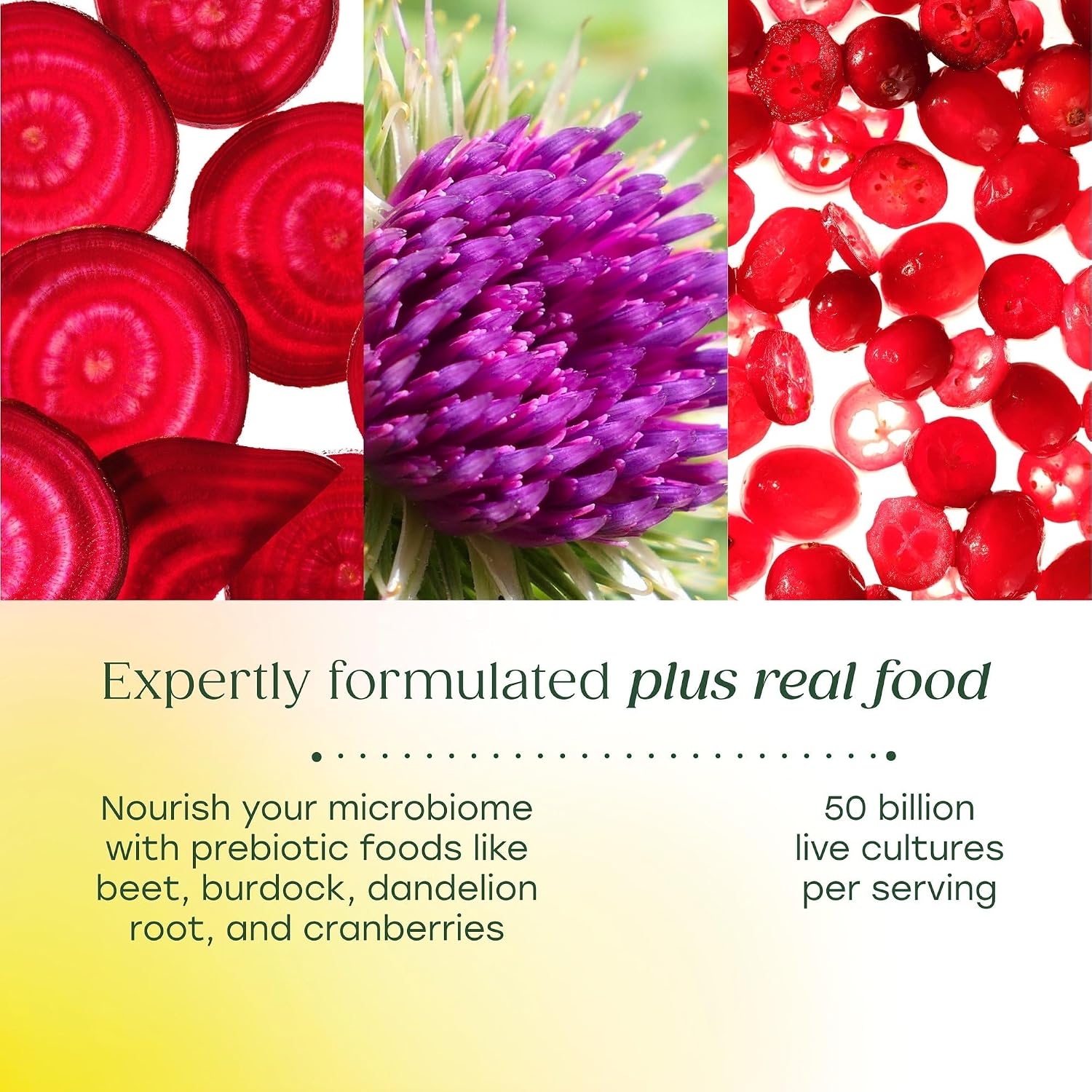 MegaFood MegaFlora Probióticos y Prebióticos para Mujeres – 60 Cápsulas