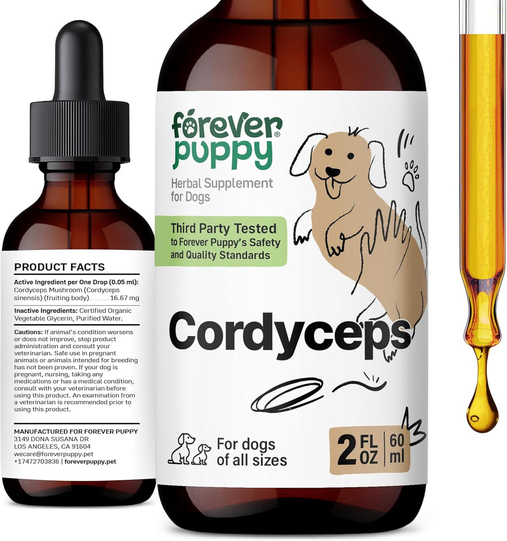 Tintura de Cordyceps para Perros - Apoyo Renal y Energía Natural - 60 ml