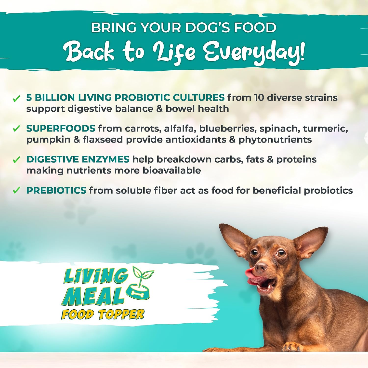 Vital Planet Living Meal Alimento para Perros en Polvo con Enzimas, Superalimentos y Probióticos - 111 g (30 dosis)