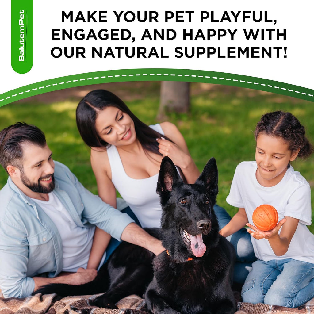 Probióticos Líquidos para Perros y Cachorros con Prebióticos y Enzimas Digestivas - Sabor Bacon - 60 ml