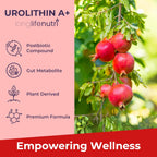 Urolithin A 1200mg - 120 Cápsulas Vegetales de Postbiótico Puro de Granada, Analizado, Vegano