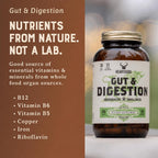 HEART & SOIL – Gut & Digestion – Suplemento Digestivo – 180 Cápsulas