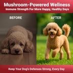 Turkey Tail Mushroom Powder para Perros - Mezcla de 7 Setas - WuffWell