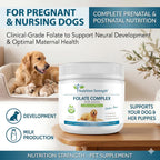 Folate para perros para promover la salud cardiovascular y prenatal, apoyar la síntesis de ADN y el mantenimiento celular, ácido fólico para perros con zinc, biotina, hierro y vitamina B12, 120 masticables blandos