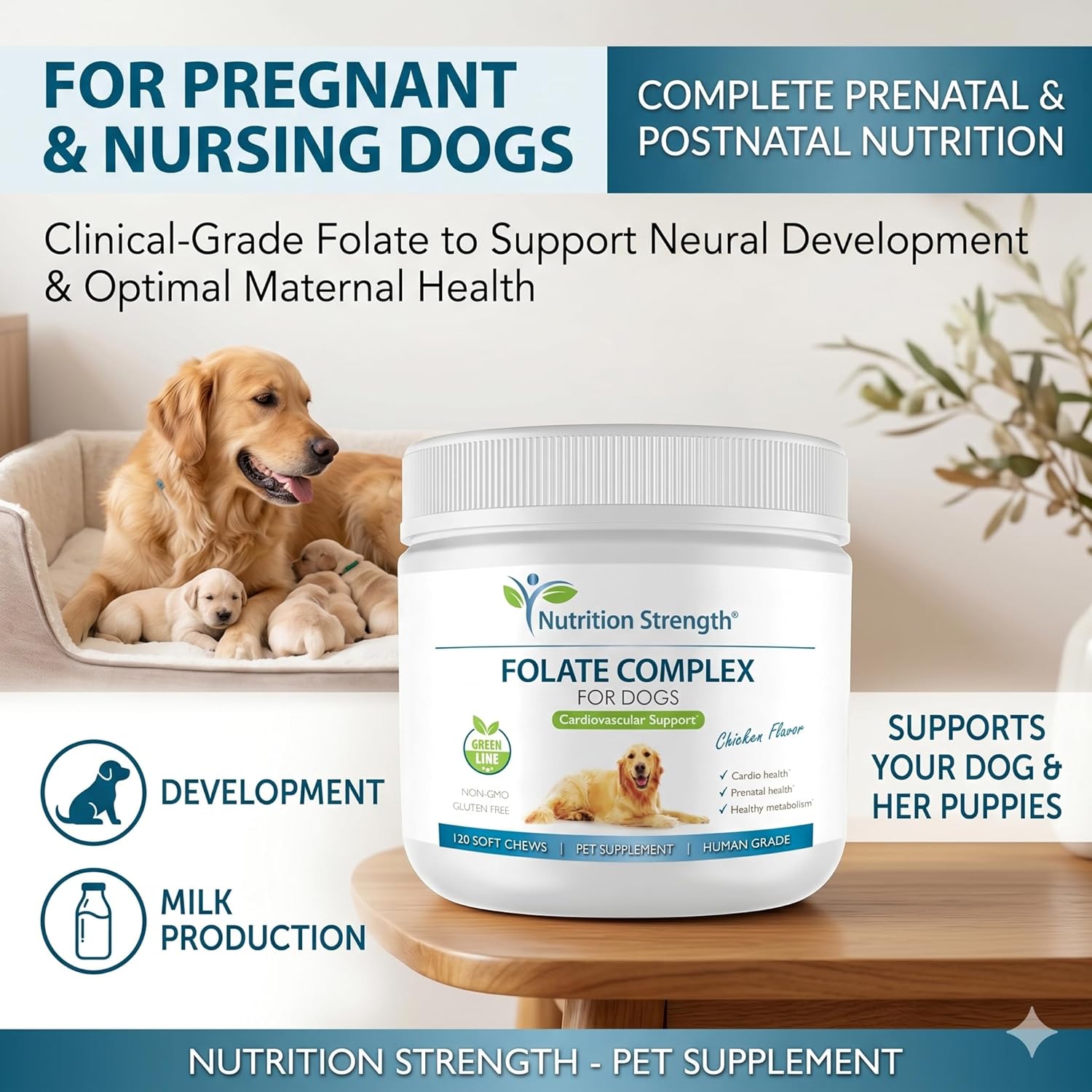 Folate para perros para promover la salud cardiovascular y prenatal, apoyar la síntesis de ADN y el mantenimiento celular, ácido fólico para perros con zinc, biotina, hierro y vitamina B12, 120 masticables blandos