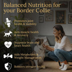Border Collie Multivitamins, 90 Count, Made in the USA with Real Bacon