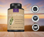 Extracto de Hoja de Olivo Premium – Estandarizado al 20% de Oleuropeína – 750mg por Cápsula – 120 Cápsulas