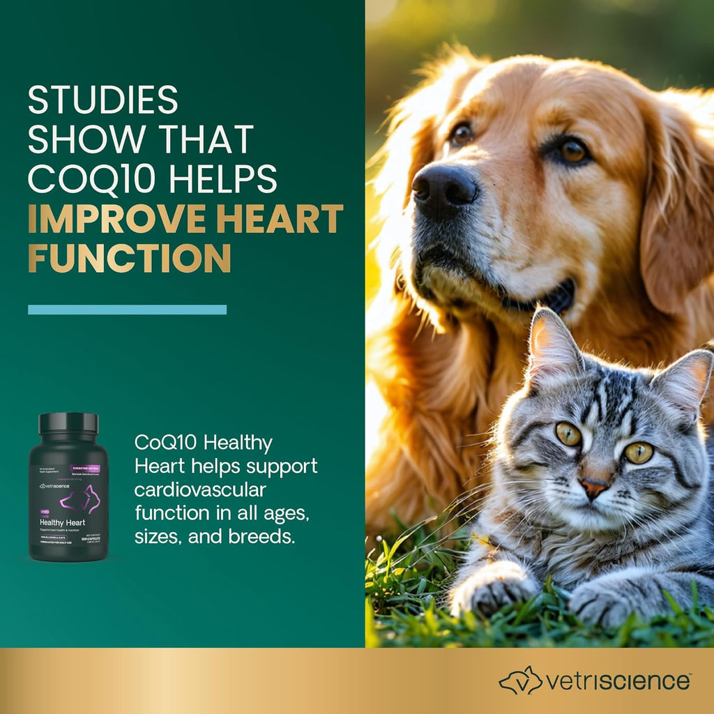 VetriScience Coenzyme Q10 for Dogs and Cats, 10mg, 100 Capsules - Cardiovascular & Gum Health Supplement