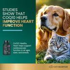 VetriScience Coenzyme Q10 for Dogs and Cats, 10mg, 100 Capsules - Cardiovascular & Gum Health Supplement