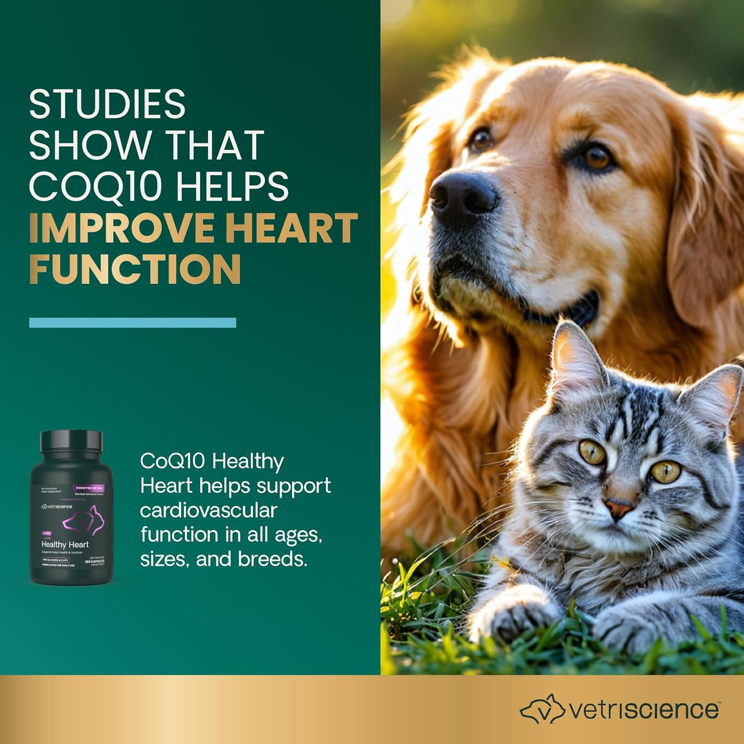 VetriScience Coenzyme Q10 for Dogs and Cats, 10mg, 100 Capsules - Cardiovascular & Gum Health Supplement