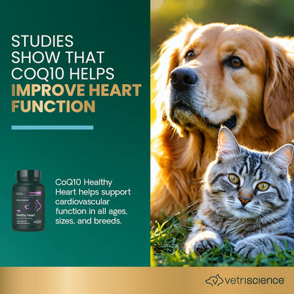 VetriScience Coenzima Q10 para Perros y Gatos, 10mg, 100 Cápsulas - Suplemento Cardiovascular y para la Salud de las Encías – Image 3