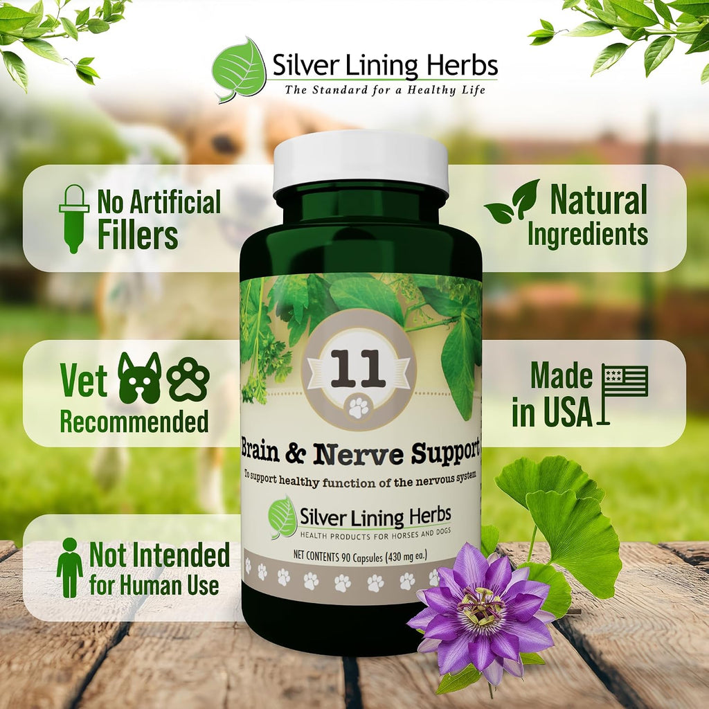 Silver Lining Herbs Suplemento cerebral y nervioso para perros - 90 Cápsulas