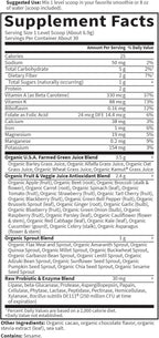 Garden of Life Raw Organic Perfect Food - Superalimento Verde en Polvo Sabor Chocolate, 30 Raciones