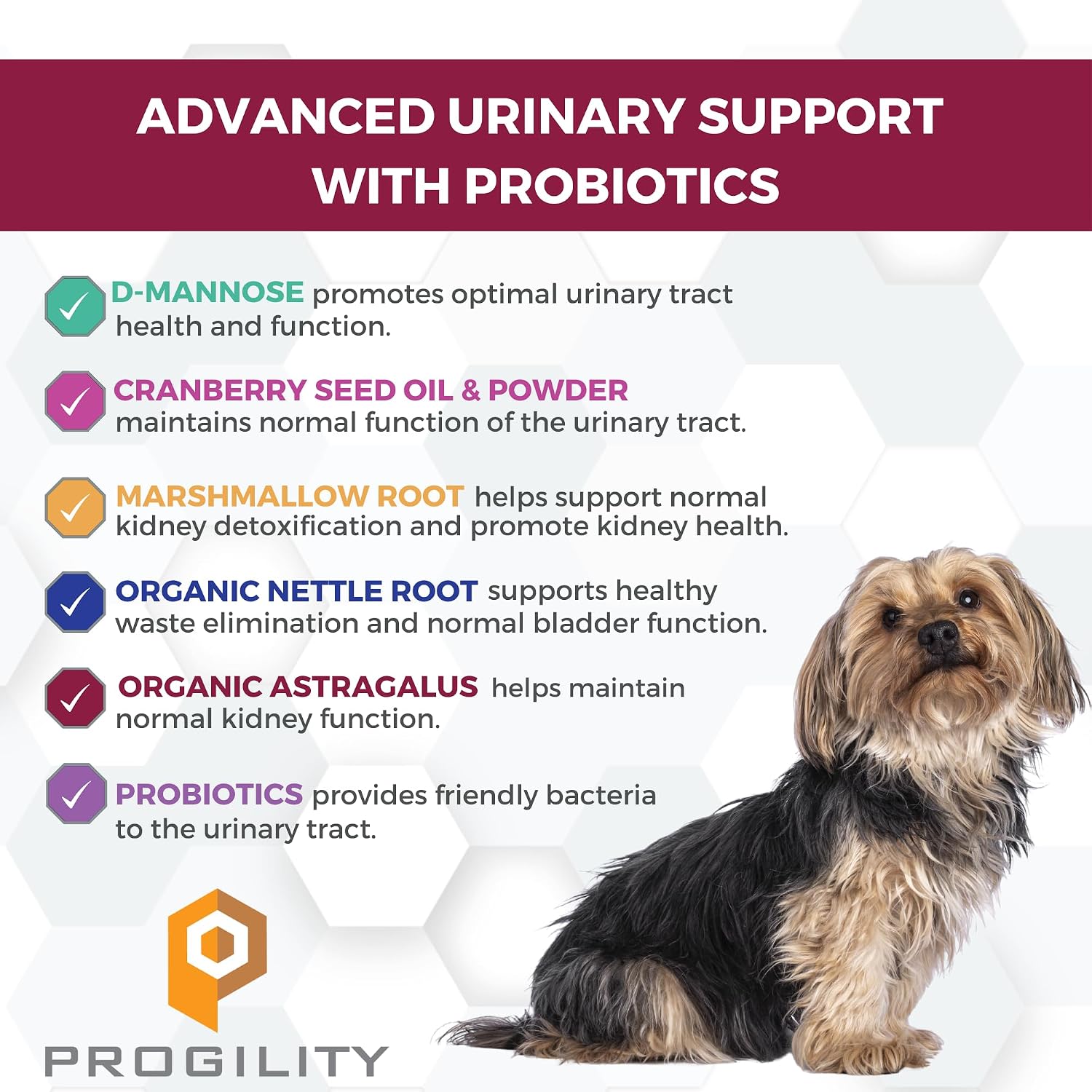 Nootie Progility Mini Urinary Support - Suplemento Urinario para Perros Pequeños, 60 Chews Blandos