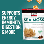 Force Factor Sea Moss Soft Chews, Gominolas de Musgo Irlandés, Sabor Caramelo Salado, 90 Gominolas (Pack de 3)